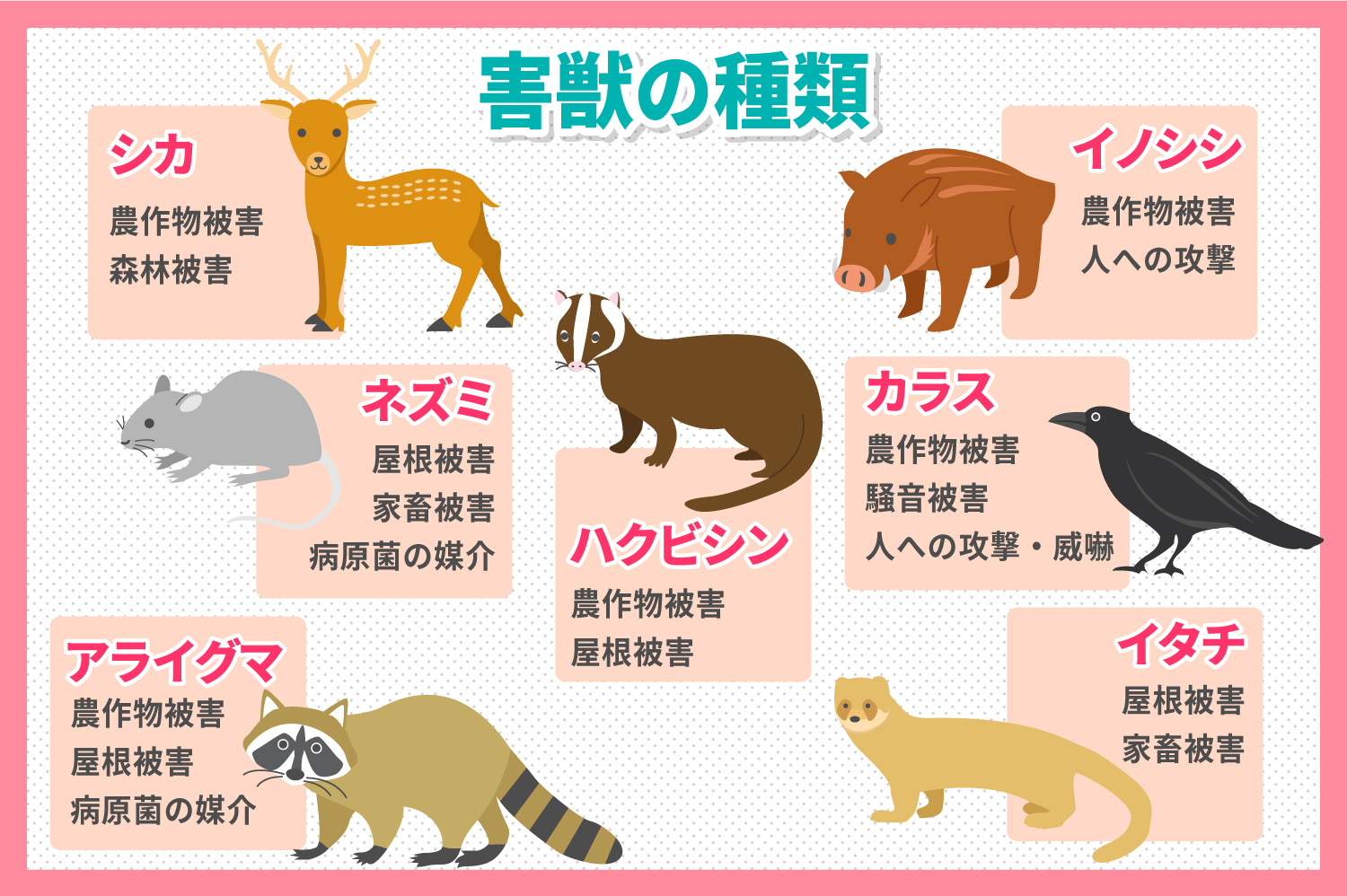 害獣の種類と被害
