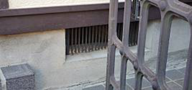 ネズミ_侵入口