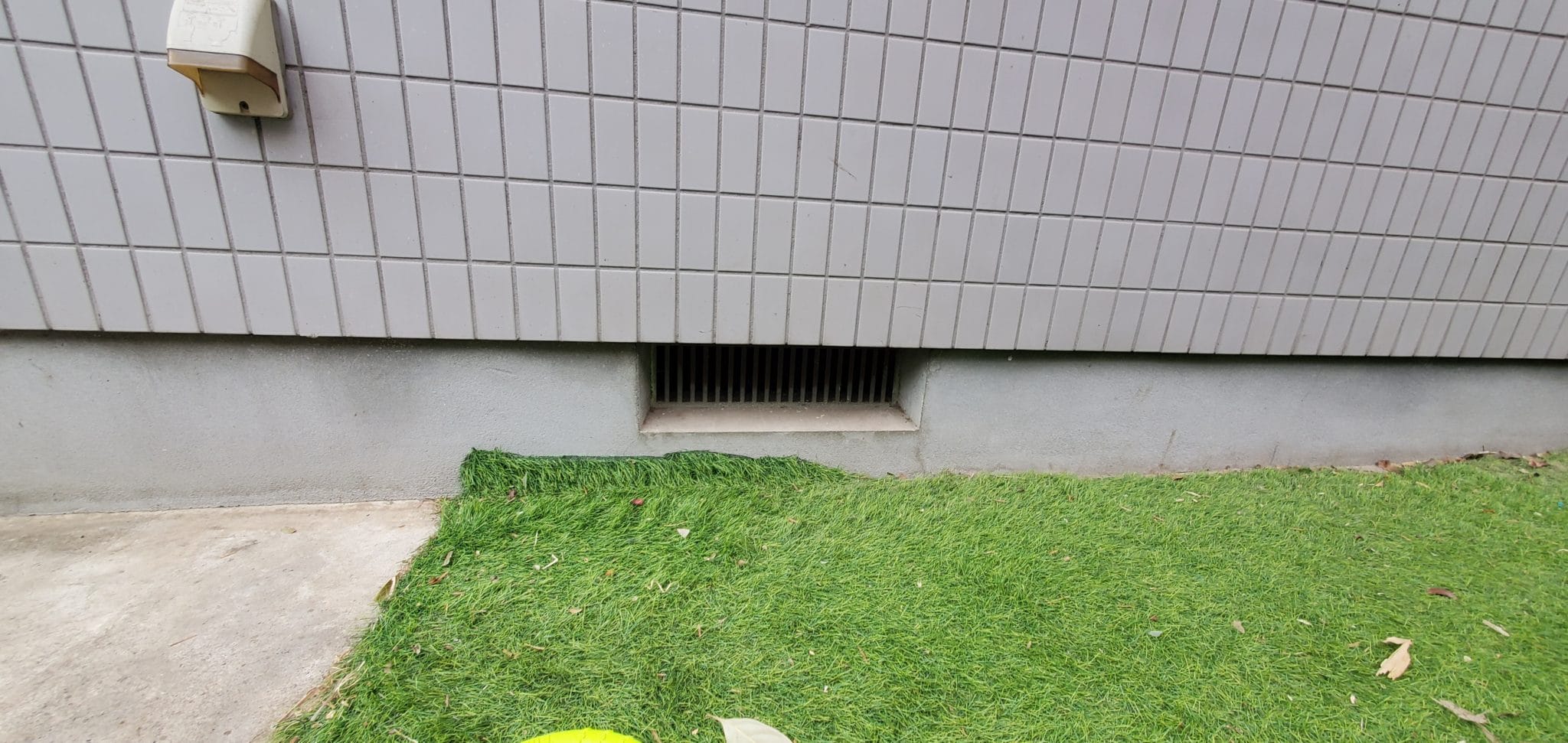 狛江市ネズミ駆除