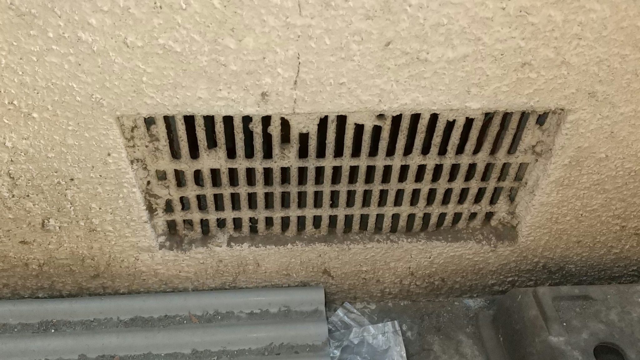 大阪市ネズミ駆除