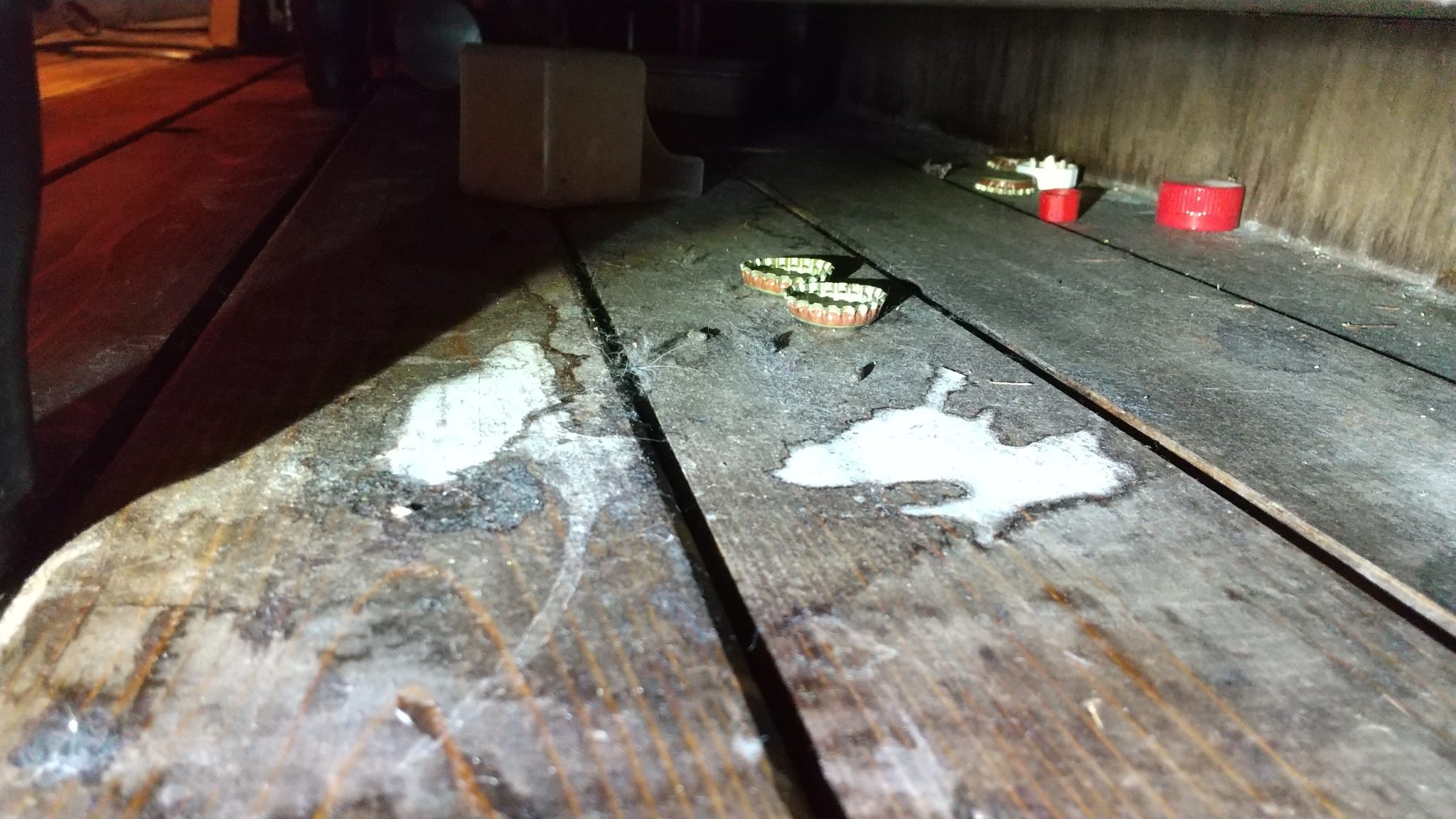 中央区ネズミ駆除