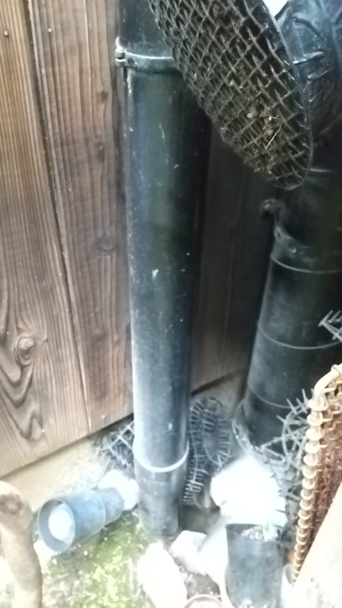 中央区ネズミ駆除